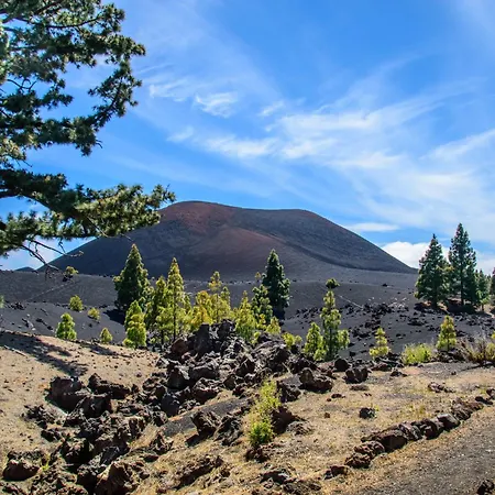 Apartment Rosamar Luxury