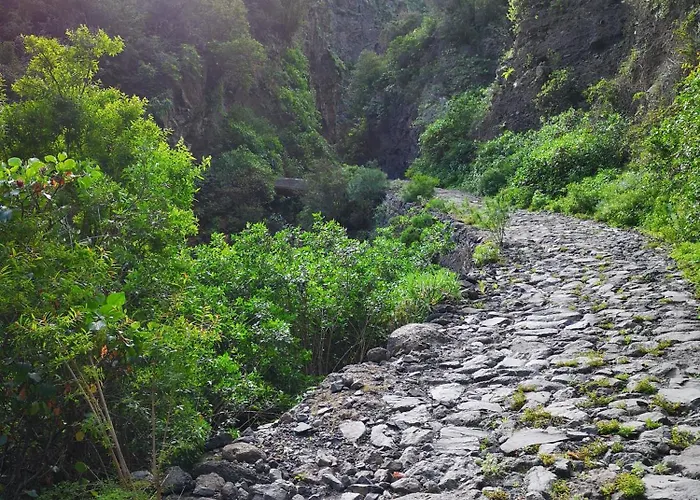 Rosamar Luxury * Arona (Tenerife)