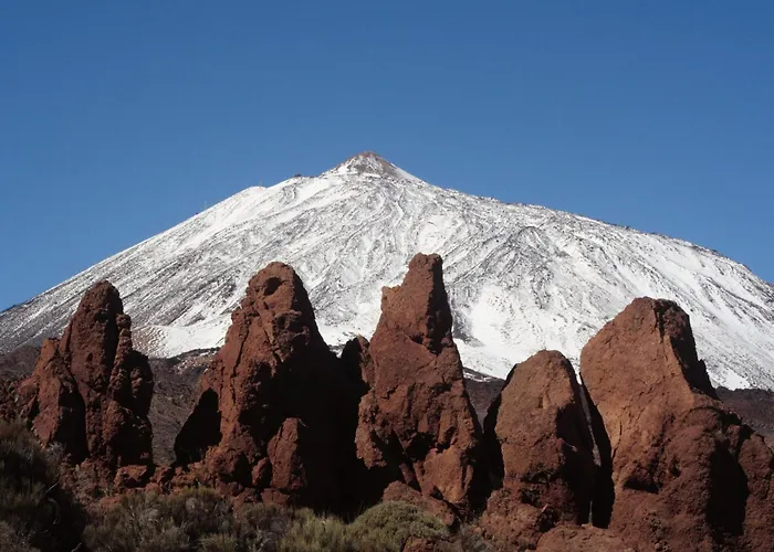 公寓 Rosamar Luxury 阿罗纳